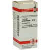 FERRUM METALLICUM C12, 10 G – PZN 7456677