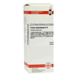 Fucus Vesiculosus D 4 Dilution (50 ml) – PZN 2898962