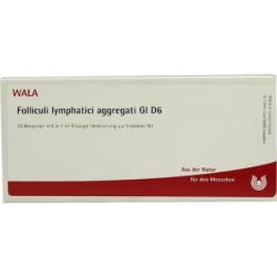 FOLLICULI LYMPH AGG GL D 6, 10X1 ML – PZN 2876400