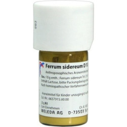 FERRUM SIDEREUM D10, 20 G – PZN 1616217