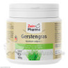 Gerstengras Rohkost Qualität Pulver, 180 G – PZN 11161261