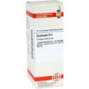 Guaiacum D 4 Dilution (20 ml) – PZN 2614752