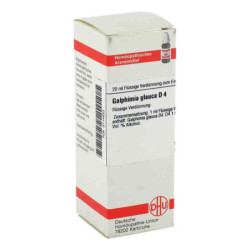 Galphimia Glauca D 4 Dilution (20 ml) – PZN 2114653