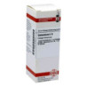 Gelsemium C 6 Dilution (20 ml) – PZN 4218210