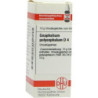 Gnaphalium Polyceph. D 4 Globuli (10 g) – PZN 7168932