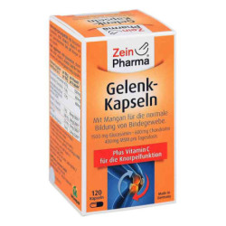 Gelenk Kapseln (120 stk) – PZN 10782133