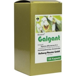 Galgant, 120 ST – PZN 156417