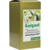 Galgant, 120 ST – PZN 156417