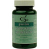 Grüner Kaffee 300mg Extrakt, 60 ST – PZN 8698721