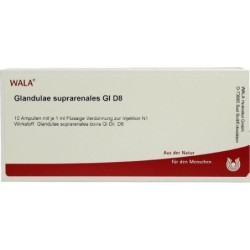 GLANDULAE SUPRARENA GL D 8, 10X1 ML – PZN 3356766