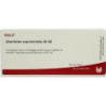 GLANDULAE SUPRARENA GL D 8, 10X1 ML – PZN 3356766