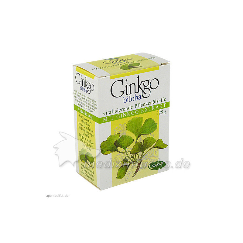 Ginko, 125 G – PZN 1987698