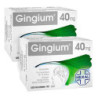 Gingium intens 40mg  (2x120 stk) – PZN 8100189