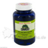 Ginkgo 100mg GPH, 120 ST – PZN 4156986