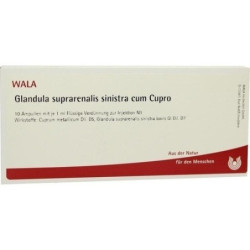 GLANDULA SUP SIN CUM CUPRO, 10X1 ML – PZN 1751524