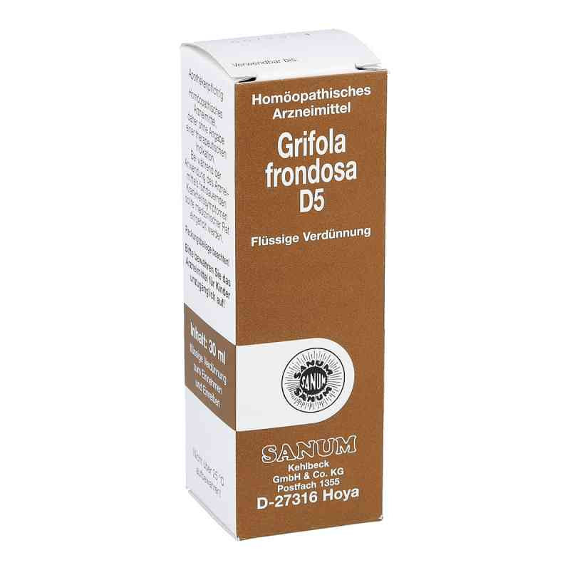 Grifola frondosa D5 Tropfen zum Einnehmen (30 ml) – PZN 10392998