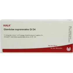 GLANDULAE SUPRAREN GL D 4, 10X1 ML – PZN 2829406