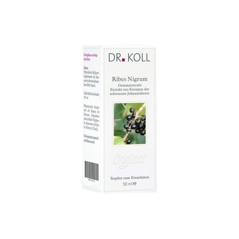 Gemmoextrakt Schwarze Johannisbeere, 50 ML – PZN 9762510