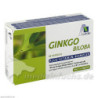 Ginkgo 100mg Kaps + B1 C+E, 48 ST – PZN 2909329