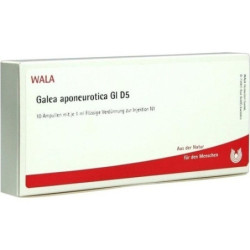 GALEA APONEUROTICA GL D 5, 10X1 ML – PZN 4618381