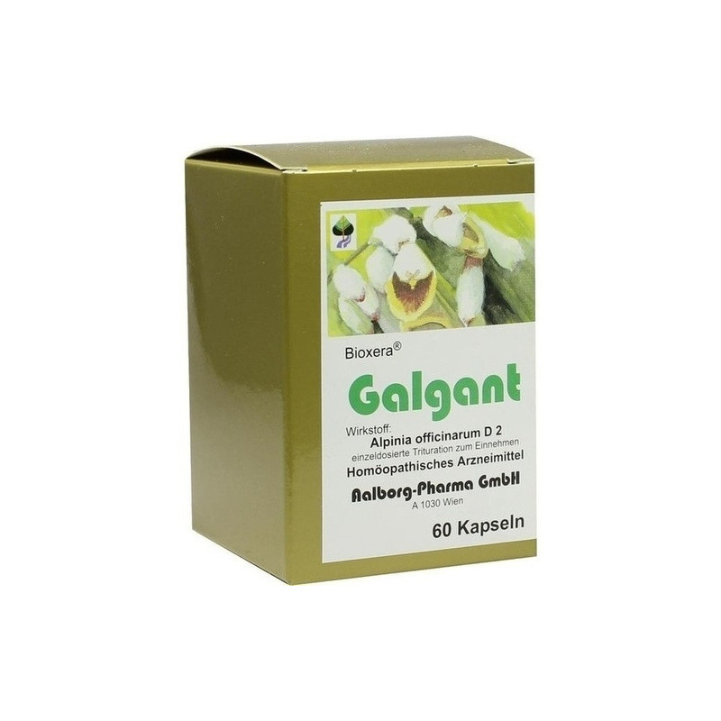 Galgant, 60 ST – PZN 156400