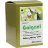 Galgant, 60 ST – PZN 156400