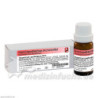 HYPERICUM D12, 10 G – PZN 2890334