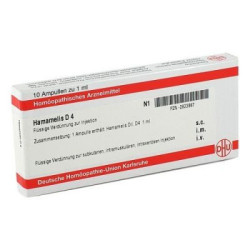 Hamamelis D 4 Ampullen (10X1 ml) – PZN 2823987