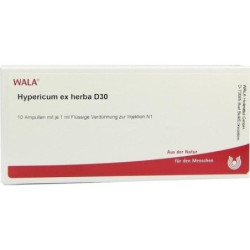 HYPERICUM EX HERBA D30, 10X1 ML – PZN 2879404