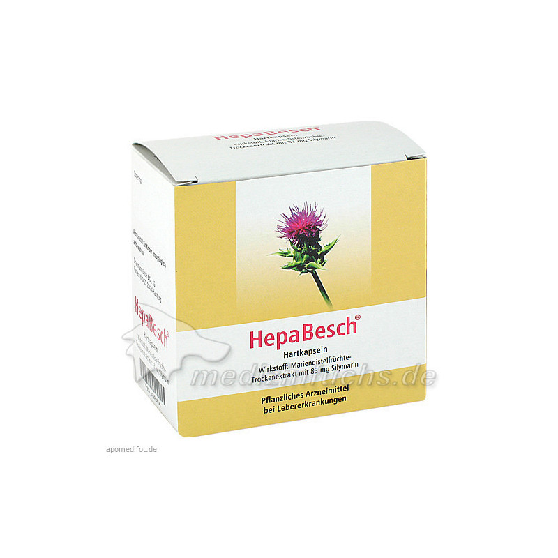 Hepabesch, 100 ST – PZN 3925856