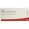 HELLEBORUS NIG E PL TO D30, 10X1 ML – PZN 2884581