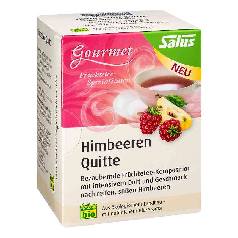 Himbeeren Quitte Gourmet Früchtetee Bio Salus Fbtl (15 stk) – PZN 13569902
