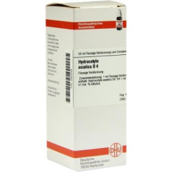 Hydrocotyle Asiatica D 4 Dilution (50 ml) – PZN 2924599