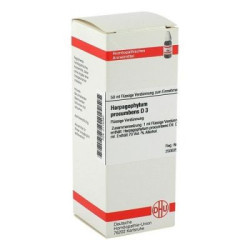 Harpagophytum Proc. D 3 Dilution (50 ml) – PZN 2115380