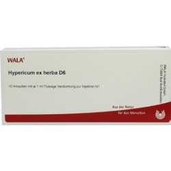 HYPERICUM EX HERBA D 6, 10X1 ML – PZN 2879290