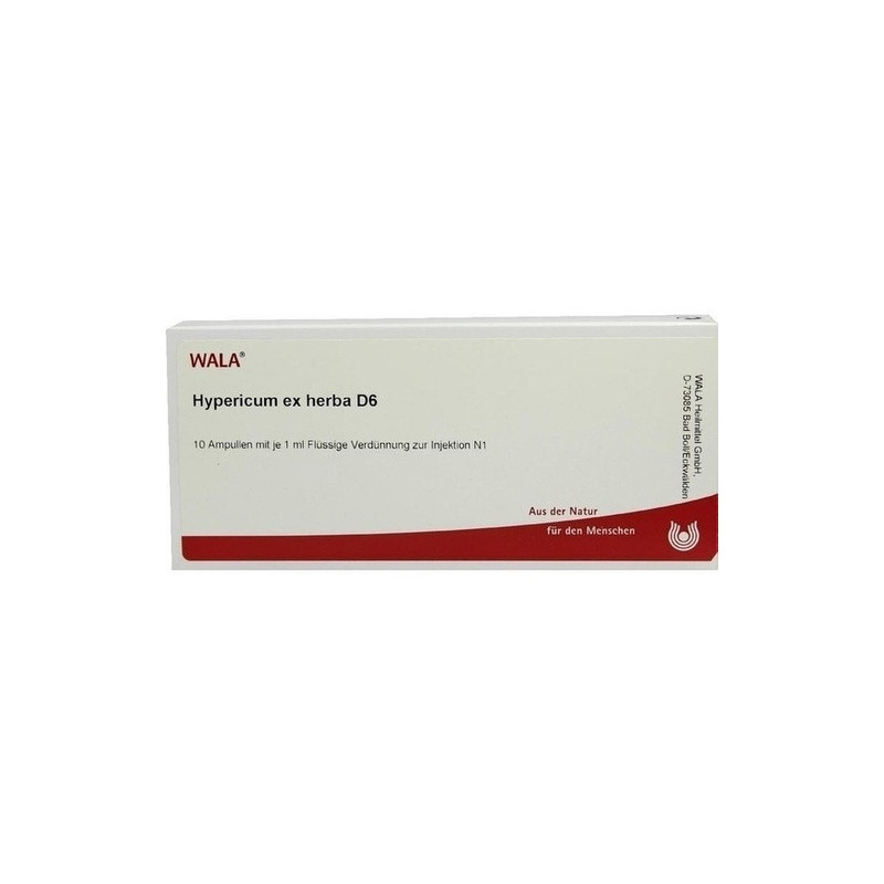 HYPERICUM EX HERBA D 6, 10X1 ML – PZN 2879290