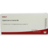 HYPERICUM EX HERBA D 6, 10X1 ML – PZN 2879290