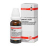 Hekla lava e lava D 6 Dilution (50 ml) – PZN 11111607