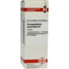 HARPAGOPHYTUM PROC URT D 1, 20 ML – PZN 2123801
