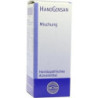 HanoGinsan, 100 ML – PZN 4327063