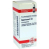 HYPERICUM D10, 10 G – PZN 7170018
