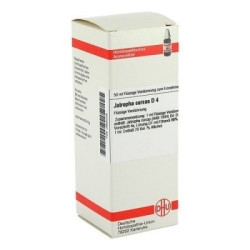 Jatropha Curcas D 4 Dilution (50 ml) – PZN 2925239