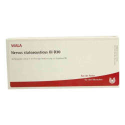 Nervus Statoacusticus Gl D 30 Ampullen (10X1 ml) – PZN 2942143