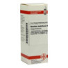 Niccolum Metallicum D 12 Dilution (20 ml) – PZN 2618939