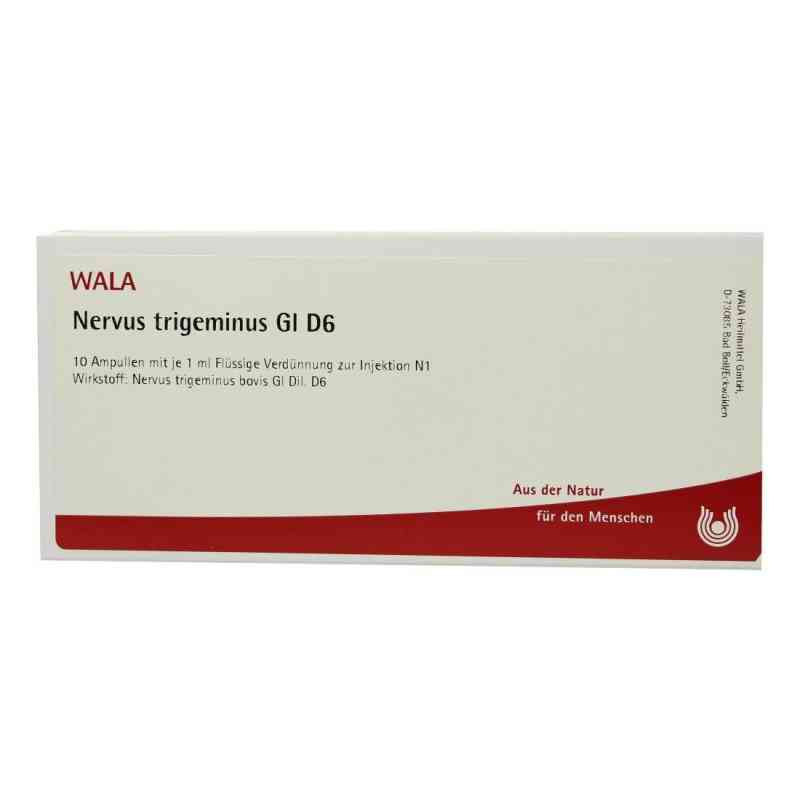 Nervus Trigeminus Gl D 6 Ampullen (10X1 ml) – PZN 2830160
