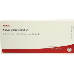 NERVUS PHRENICUS GL D 6, 10X1 ML – PZN 2941149