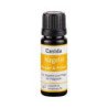 Nagelöl Repair & Protect (10 ml) – PZN 10022445