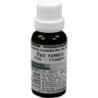 NUX VOMICA 1 UHR OLIGOSANCOMPLEX, 20 ML – PZN 4098125