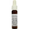 Nux vomica LM6, 9 ML – PZN 9053742