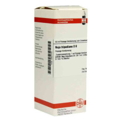 Naja Tripudians D 8 Dilution (50 ml) – PZN 2927770